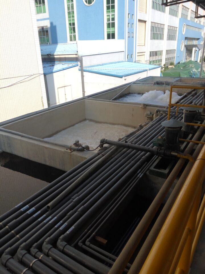 華清圖片 (2).jpg